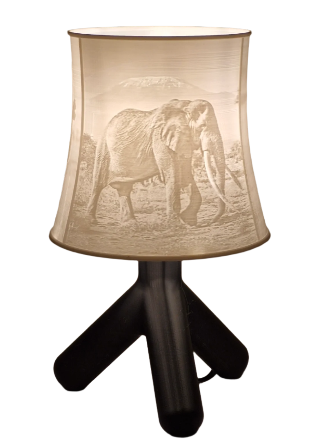 SavannaGlow Table Lamp