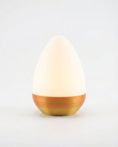 Egg Lamp